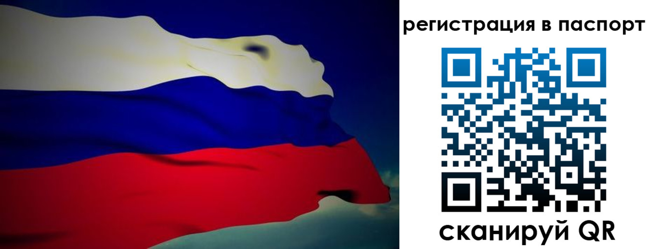 прописка законно в Вологодской области